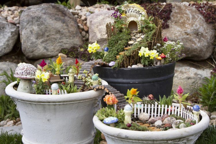 Fairy garden